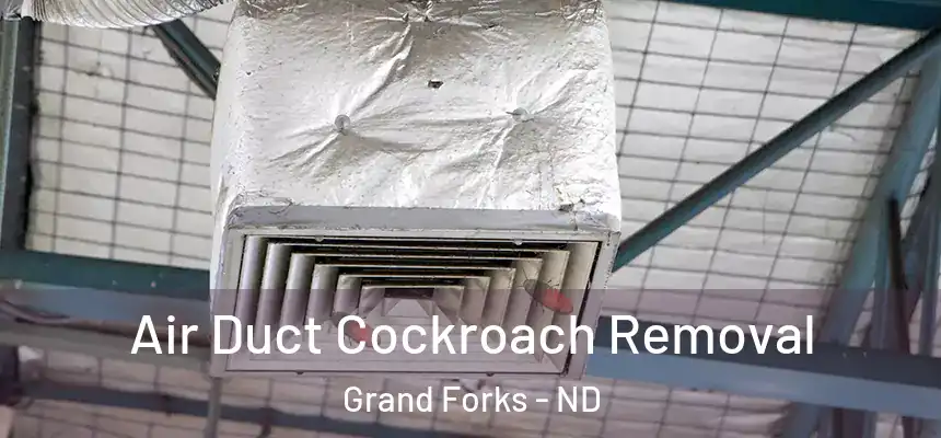 Air Duct Cockroach Removal Grand Forks - ND