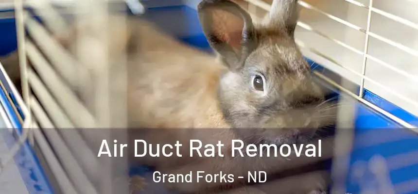  Air Duct Rat Removal Grand Forks - ND