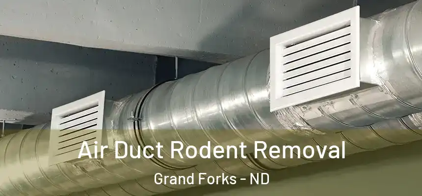 Air Duct Rodent Removal Grand Forks - ND