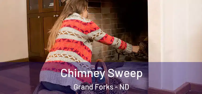 Chimney Sweep Grand Forks - ND