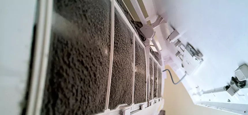 Preventive Air Duct Bacteria Removal in Grand Forks