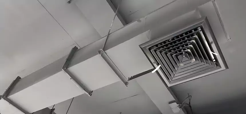 Our Rodent Droppings In Vents Services in Grand Forks, ND