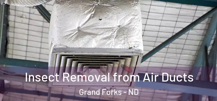  Insect Removal from Air Ducts Grand Forks - ND