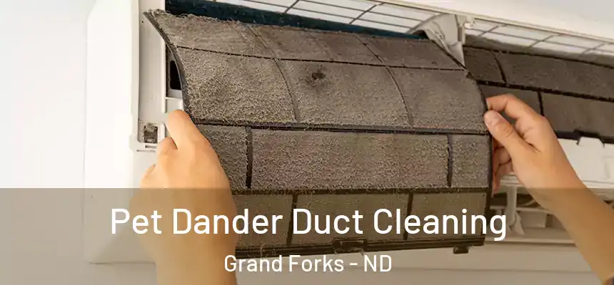 Pet Dander Duct Cleaning Grand Forks - ND