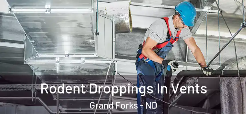 Rodent Droppings In Vents Grand Forks - ND