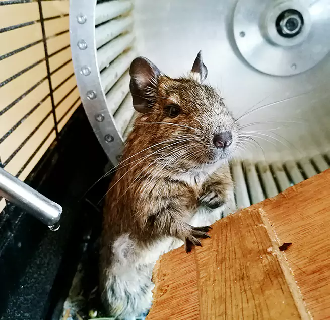 Why Homeowners & Businesses Trust Us Grand Forks, ND?